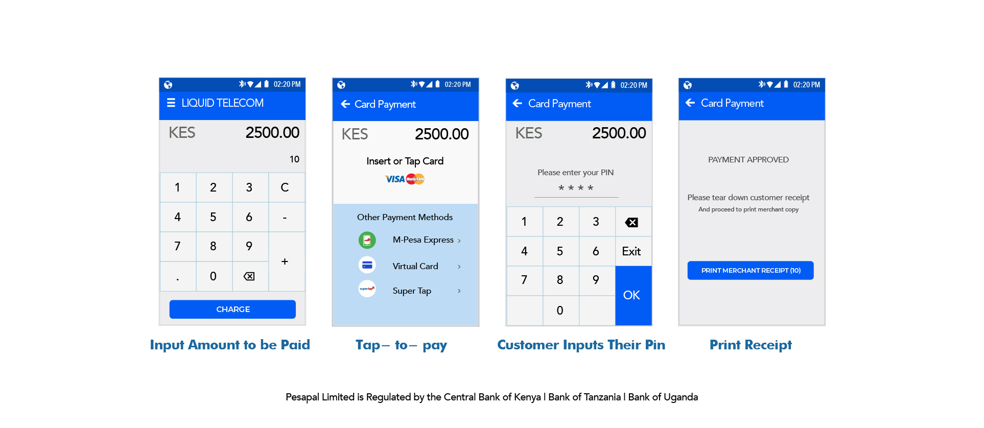 Sign Up Pesapal Sabi POS Machine - Tanzania