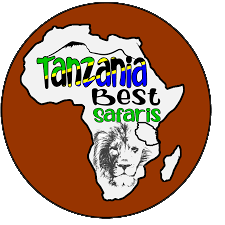 Tanzania Best Safaris
