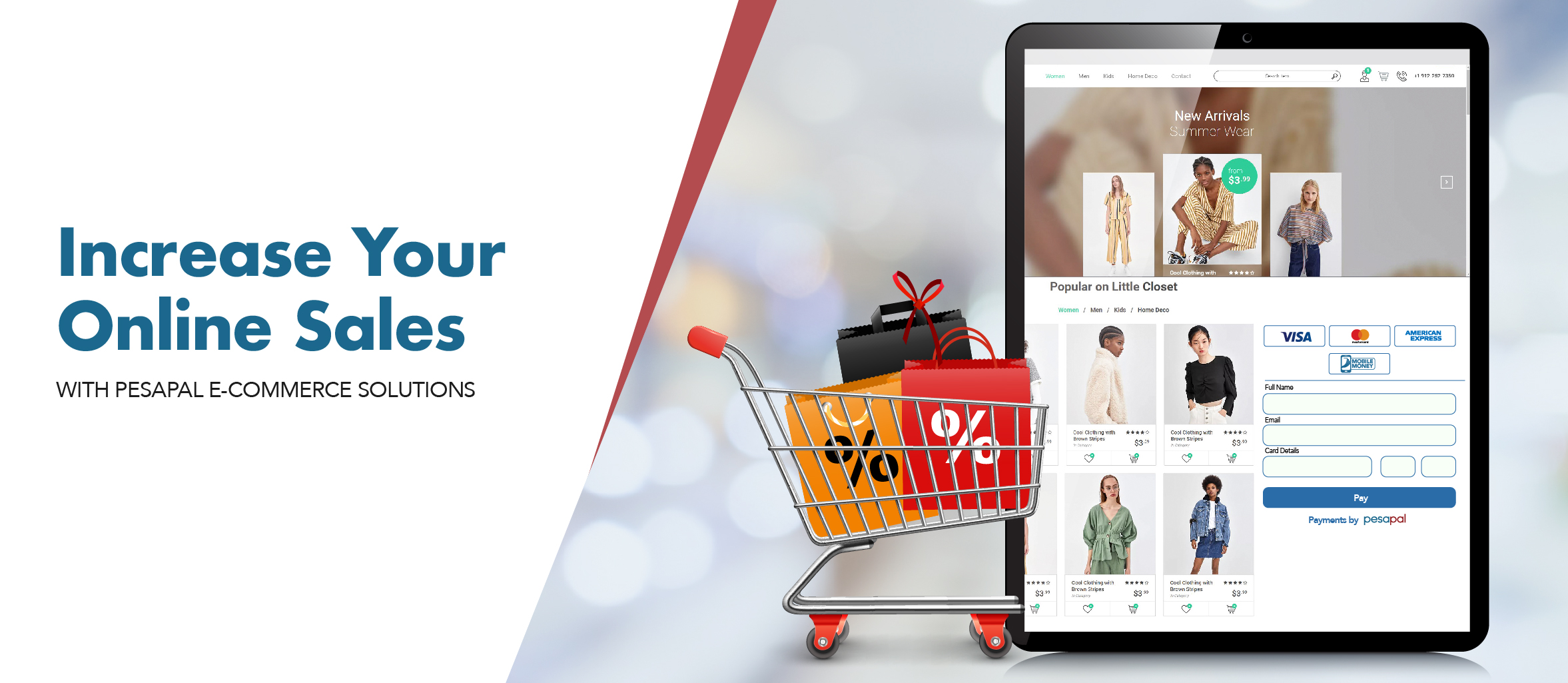 Pesapal E-commerce solutions