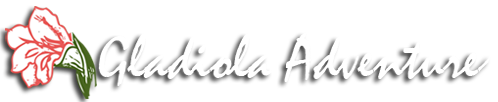 Gladiola Adventures