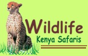 Wildlife Kenya Safaris