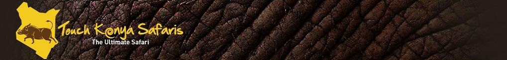 Touch Kenya Safaris