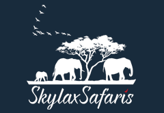 Skylax Tours and Safaris