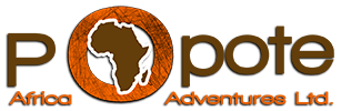 Popote Africa
