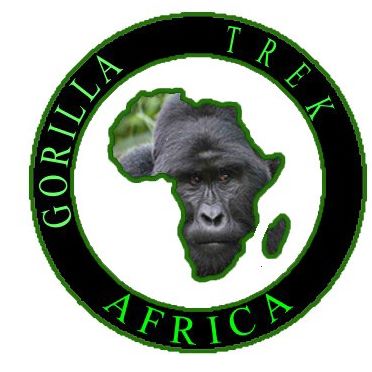 Gorilla Trek Africa