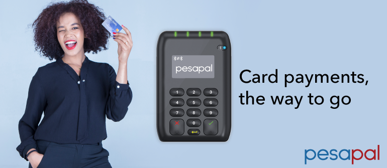 Understanding  The Pesapal Sabi Terminal: A Partner That Walks With You Every Step